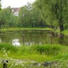 zdjęcie nr 33
