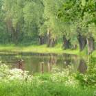 zdjęcie nr 34