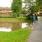 zdjęcie nr 43