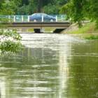 zdjęcie nr 41
