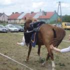 zdjęcie nr 72
