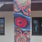 zdjęcie nr 54