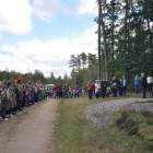 Fotka nr 2 z 21