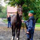 zdjęcie nr 16