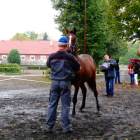 zdjęcie nr 28