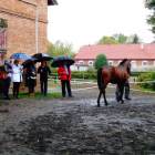 zdjęcie nr 29