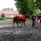 zdjęcie nr 26