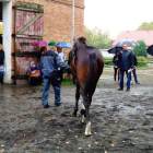 zdjęcie nr 17