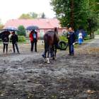 zdjęcie nr 20