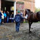 zdjęcie nr 21