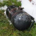 Fotka nr 5 z 14