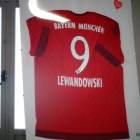 zdjęcie nr 11