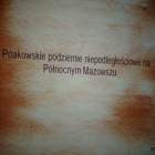 zdjęcie nr 8