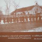 zdjęcie nr 11