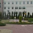 zdjęcie nr 10