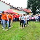 zdjęcie nr 84