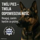 Fotka nr 0 z 1