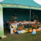 zdjęcie nr 38