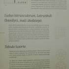 zdjęcie nr 16