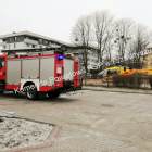 Fotka nr 5 z 8
