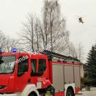 Fotka nr 1 z 8