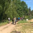 zdjęcie nr 9