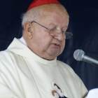 zdjęcie nr 31