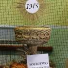 zdjęcie nr 13