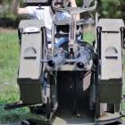 Fotka nr 4 z 32