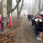 zdjęcie nr 12