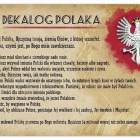 zdjęcie nr 22