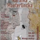 Fotka nr 4 z 6