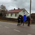 zdjęcie nr 10