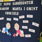 zdjęcie nr 11