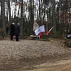 Fotka nr 5 z 11