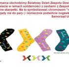 zdjęcie nr 9
