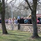 zdjęcie nr 17