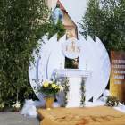 zdjęcie nr 30