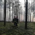zdjęcie nr 20