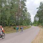 zdjęcie nr 21