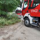 Fotka nr 2 z 5