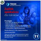 Fotka nr 2 z 5