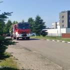 zdjęcie nr 8