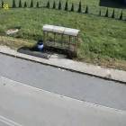 zdjęcie nr 8