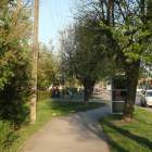 zdjęcie nr 79
