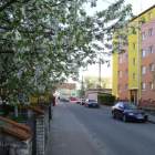 zdjęcie nr 38