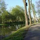 zdjęcie nr 9