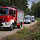 Fotka nr 2 z 15