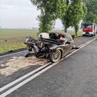 Fotka nr 2 z 4