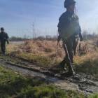 Fotka nr 5 z 15